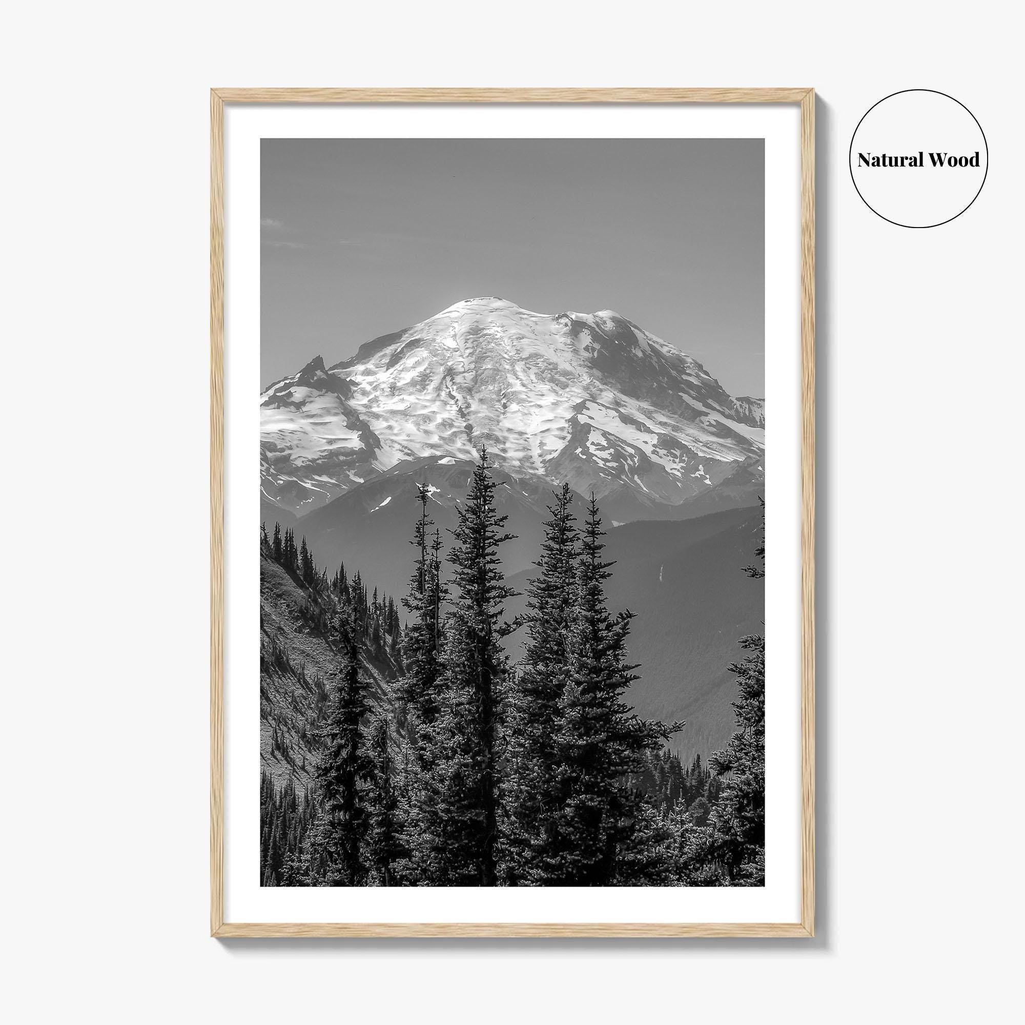 Washington State Black and White Fine Art Photo Print, Mount Rainier National Park Poster