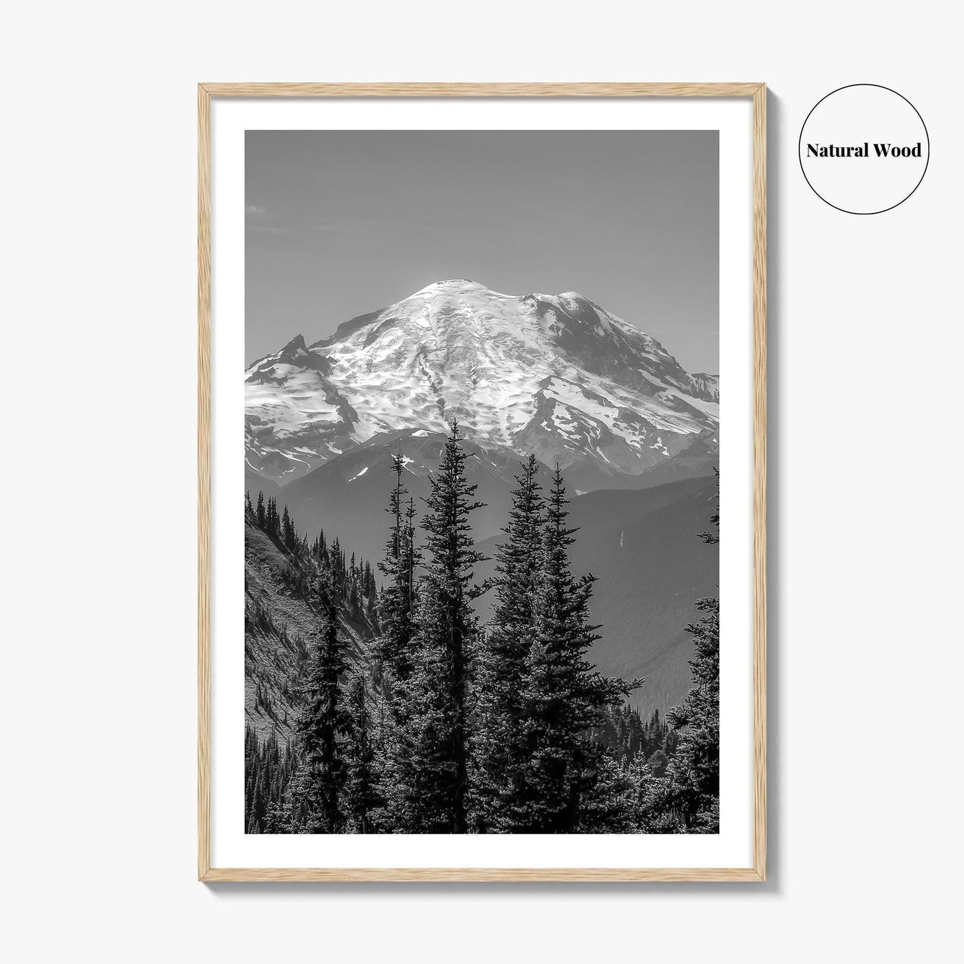 Washington State Black and White Fine Art Photo Print, Mount Rainier National Park Poster