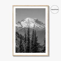 Washington State Black and White Fine Art Photo Print, Mount Rainier National Park Poster