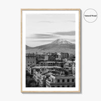 Yerevan Black and White Fine Art Photo Print, Armenia Wall Poster, Mount Ararat, Cascade