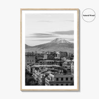 Yerevan Black and White Fine Art Photo Print, Armenia Wall Poster, Mount Ararat, Cascade