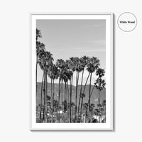 Santa Barbara Black and White Fine Art Photo Print, Palm Trees, California Poster