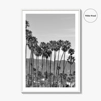 Santa Barbara Black and White Fine Art Photo Print, Palm Trees, California Poster