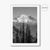 Washington State Black and White Fine Art Photo Print, Mount Rainier National Park Poster