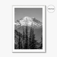 Washington State Black and White Fine Art Photo Print, Mount Rainier National Park Poster