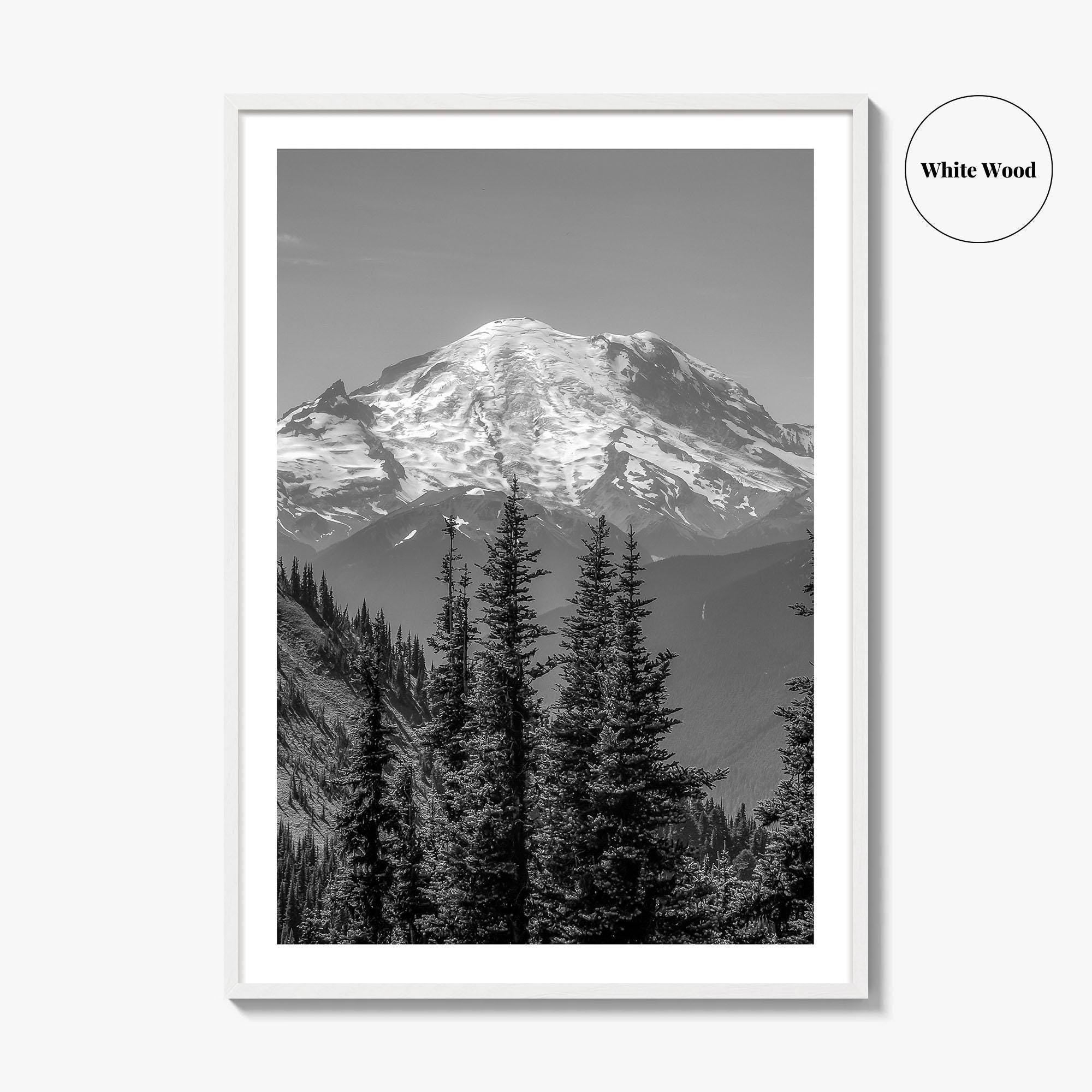 Washington State Black and White Fine Art Photo Print, Mount Rainier National Park Poster