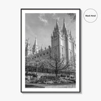 Salt Lake City Black and White Fine Art Photo Print, Utah Poster