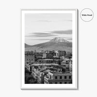 Yerevan Black and White Fine Art Photo Print, Armenia Wall Poster, Mount Ararat, Cascade