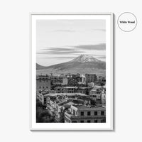 Yerevan Black and White Fine Art Photo Print, Armenia Wall Poster, Mount Ararat, Cascade