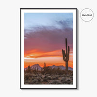 Tucson Arizona Fine Art Photo Print, Sonoran Desert Poster, Saguaro National Park, USA