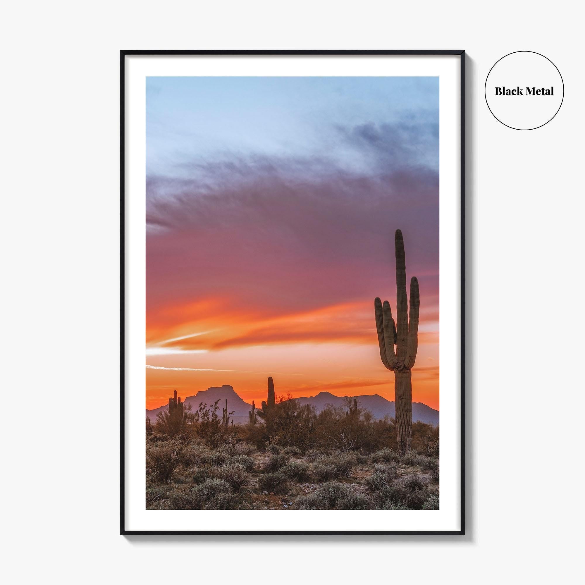 Tucson Arizona Fine Art Photo Print, Sonoran Desert Poster, Saguaro National Park, USA