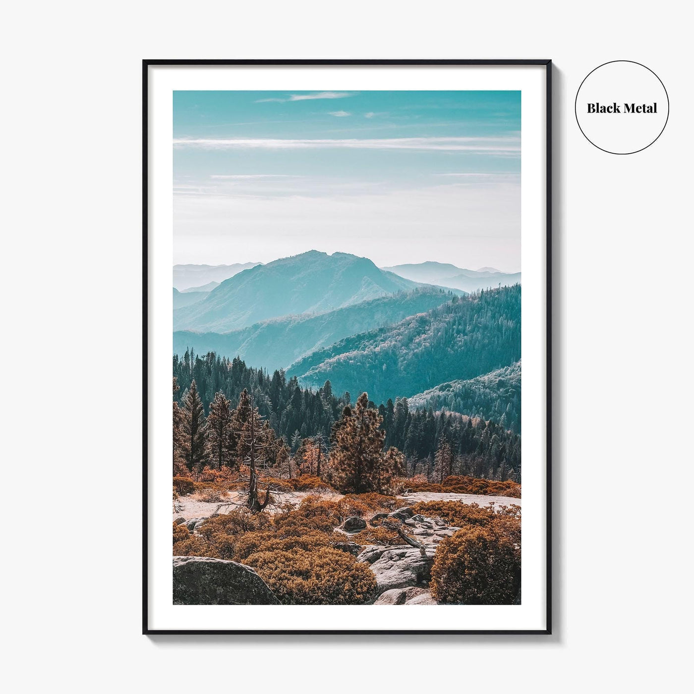 Sequoia National Park Fine Art Photo Print, Redwood Trees, California Poster, USA