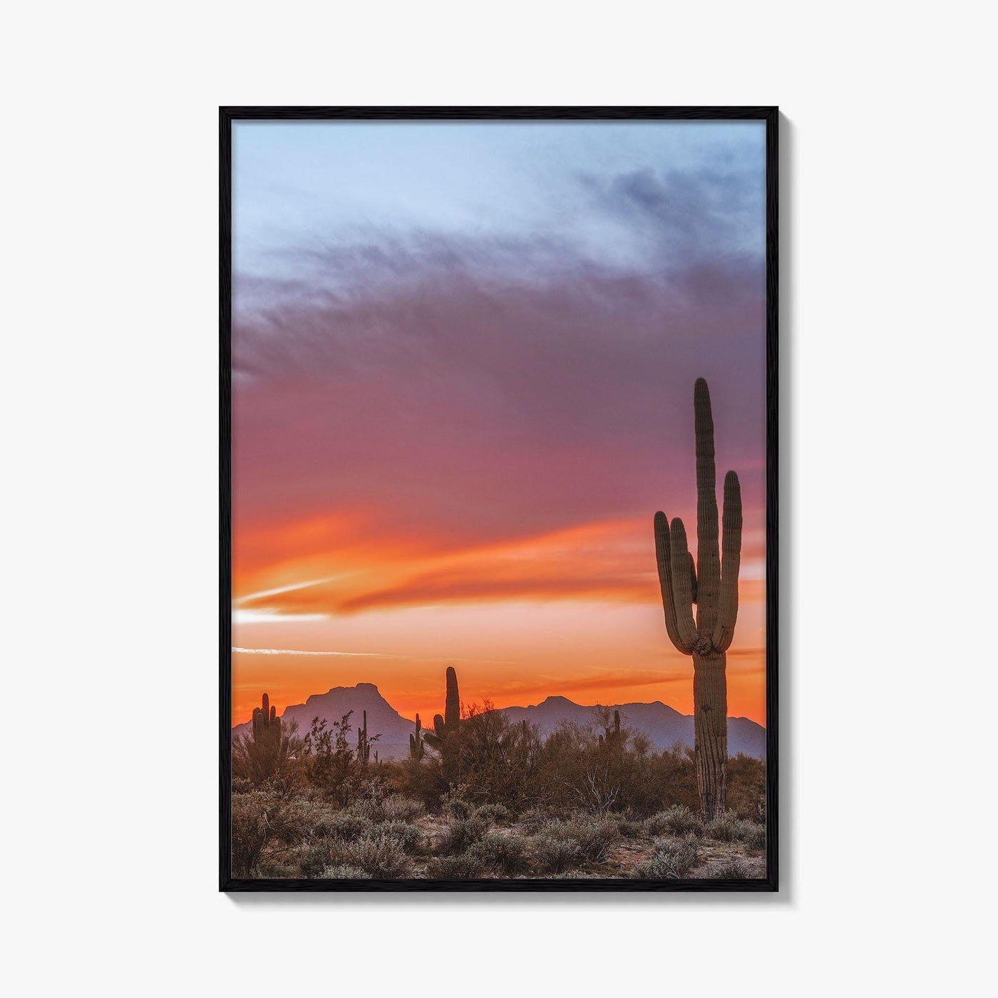 Tucson Arizona Fine Art Photo Print, Sonoran Desert Poster, Saguaro National Park, USA