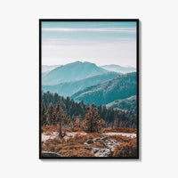 Sequoia National Park Fine Art Photo Print, Redwood Trees, California Poster, USA