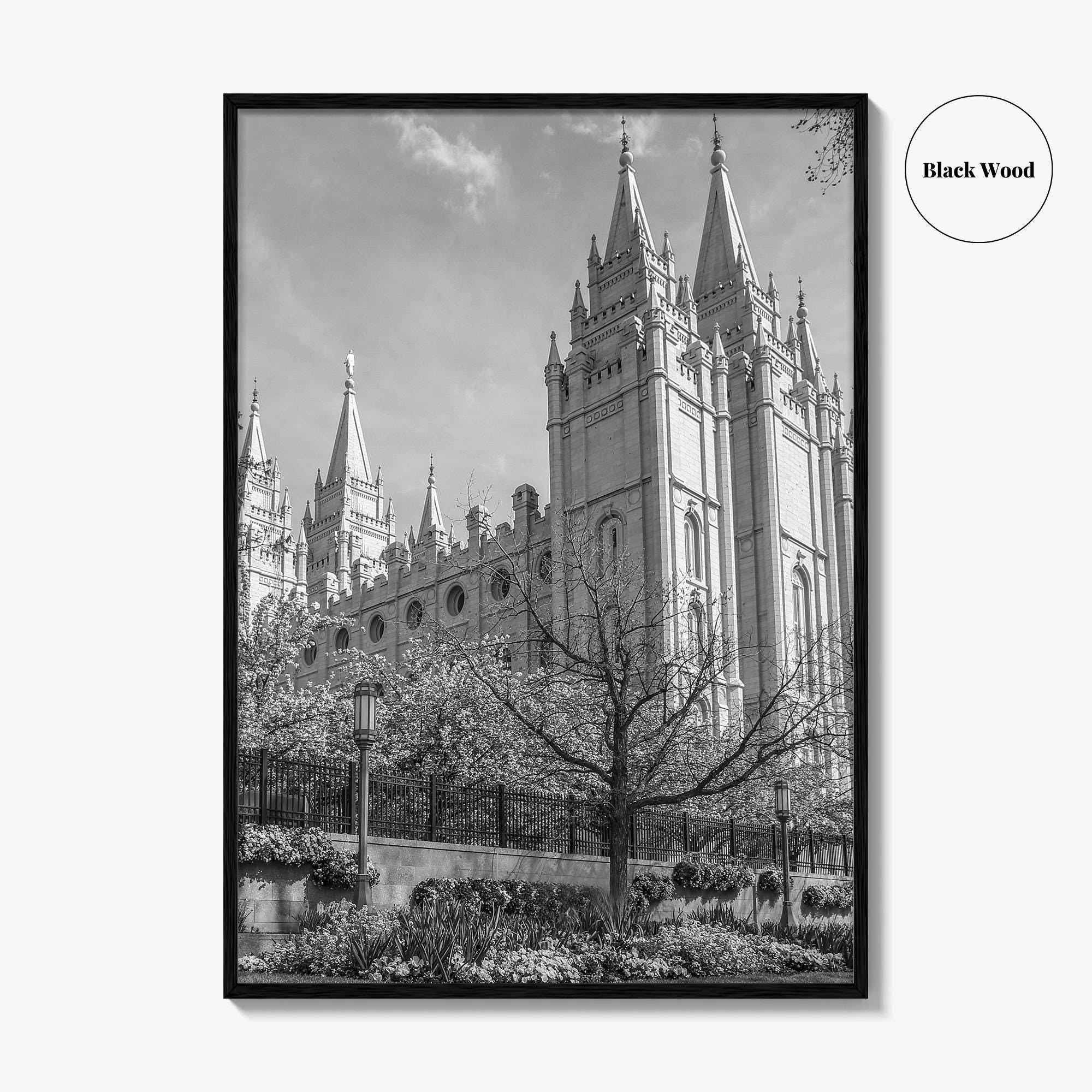Salt Lake City Black and White Fine Art Photo Print, Utah Poster