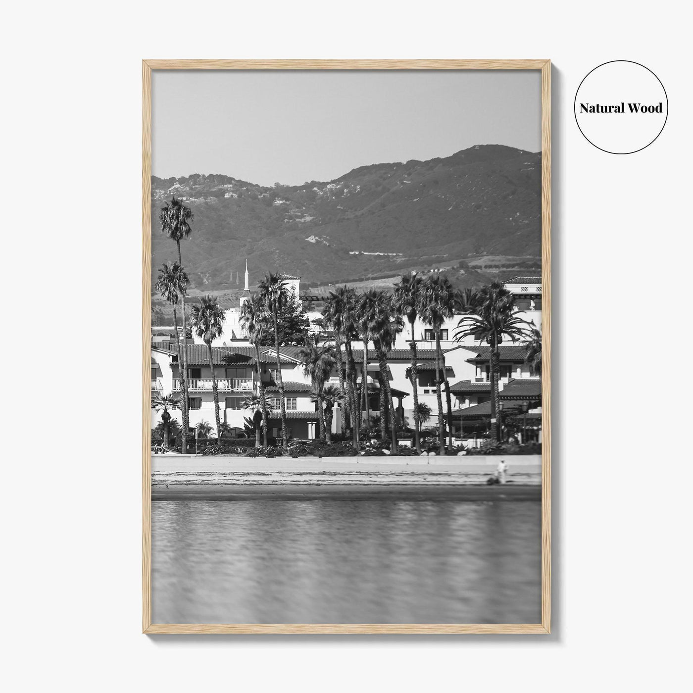 Santa Barbara Black and White Fine Art Photo Print, California Beach Marina Poster