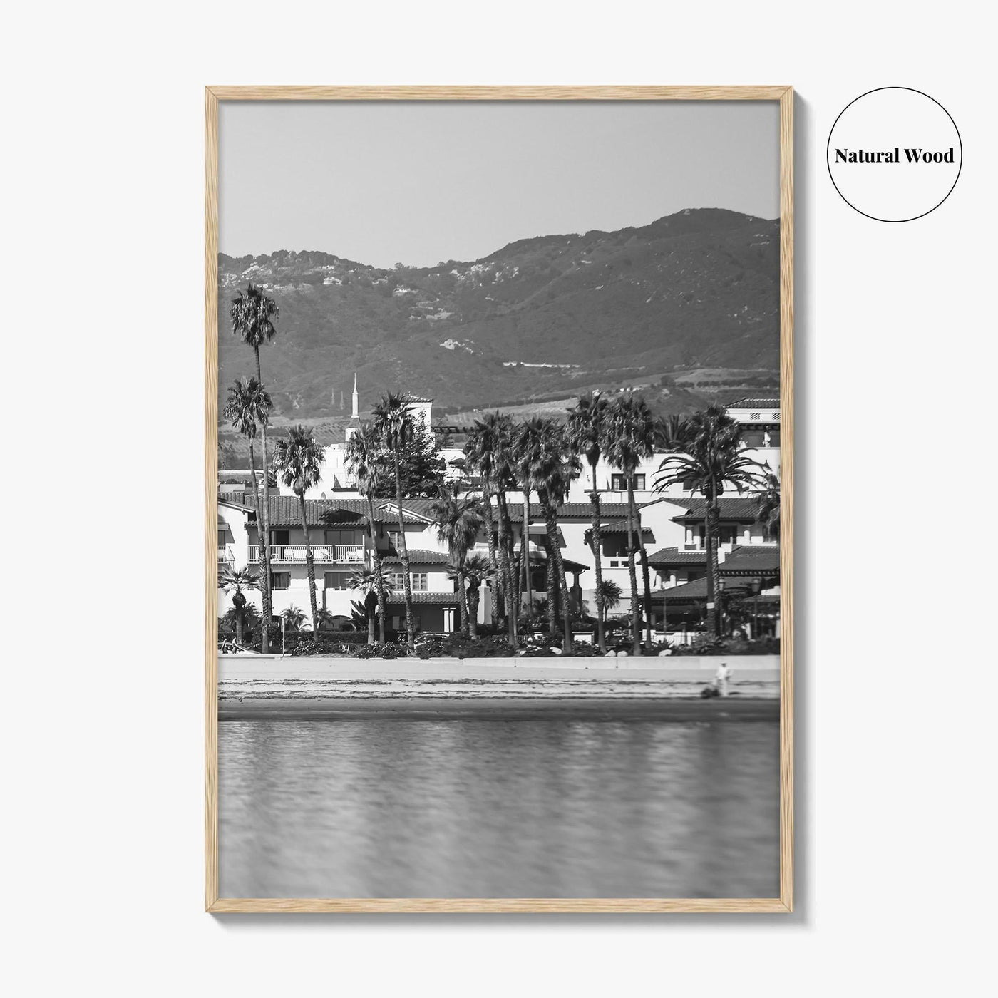 Santa Barbara Black and White Fine Art Photo Print, California Beach Marina Poster