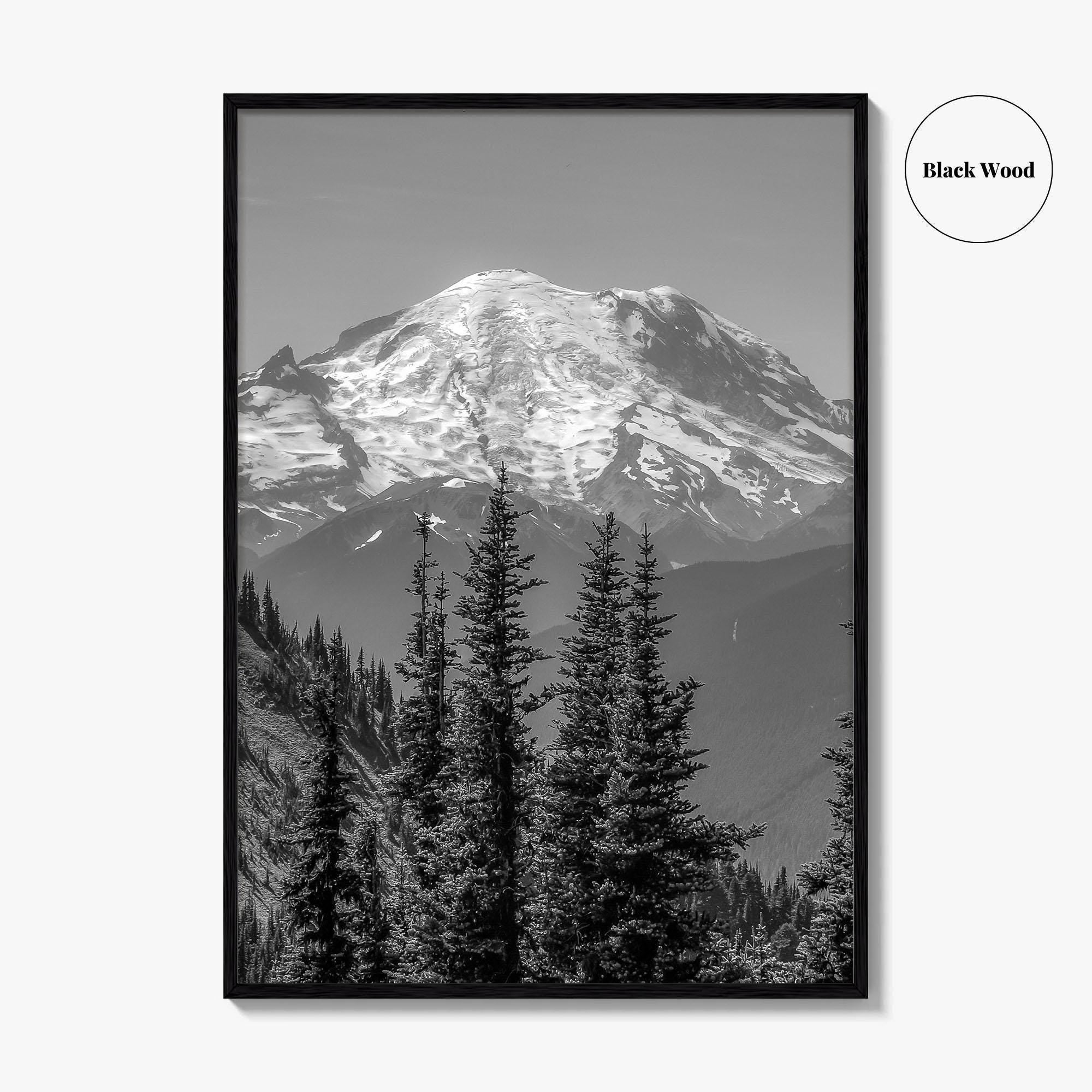 Washington State Black and White Fine Art Photo Print, Mount Rainier National Park Poster
