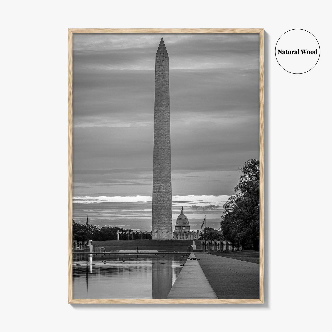 Washington DC Black and White Fine Art Photo Print, US Capitol National Mall Poster