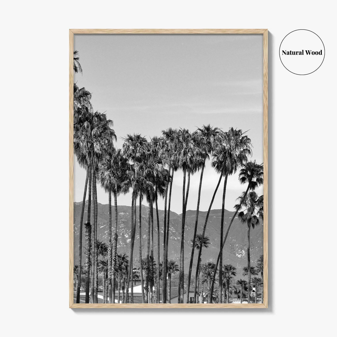 Santa Barbara Black and White Fine Art Photo Print, Palm Trees, California Poster