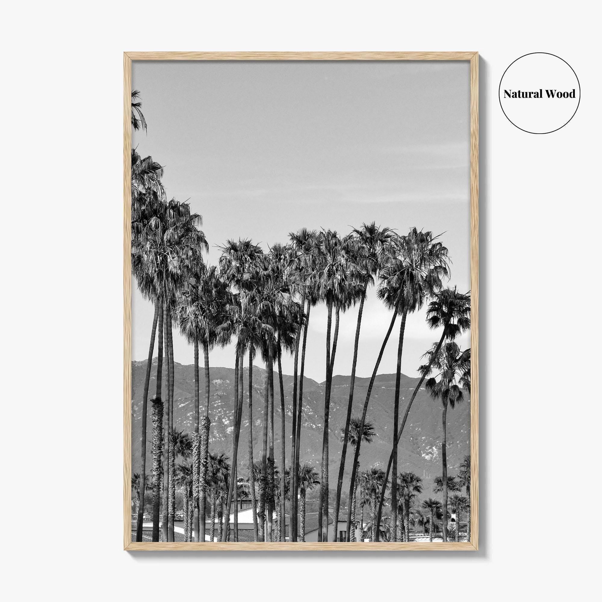 Santa Barbara Black and White Fine Art Photo Print, Palm Trees, California Poster