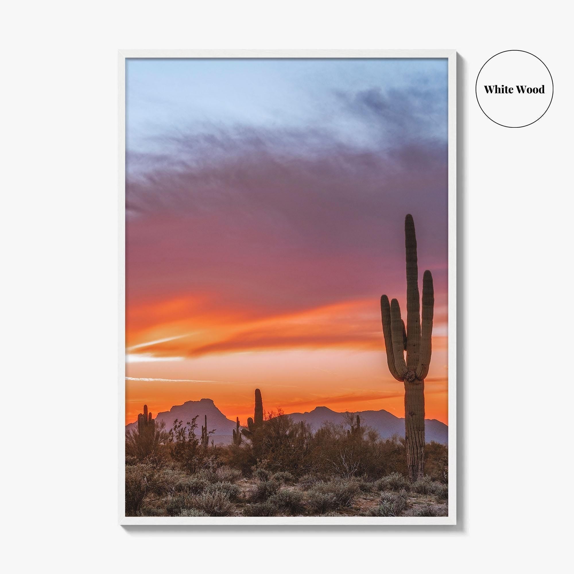 Tucson Arizona Fine Art Photo Print, Sonoran Desert Poster, Saguaro National Park, USA