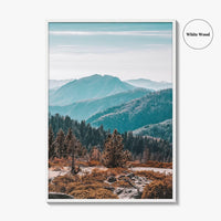 Sequoia National Park Fine Art Photo Print, Redwood Trees, California Poster, USA