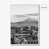 Yerevan Black and White Fine Art Photo Print, Armenia Wall Poster, Mount Ararat, Cascade