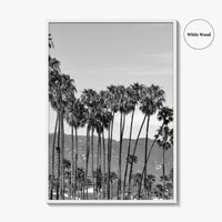 Santa Barbara Black and White Fine Art Photo Print, Palm Trees, California Poster