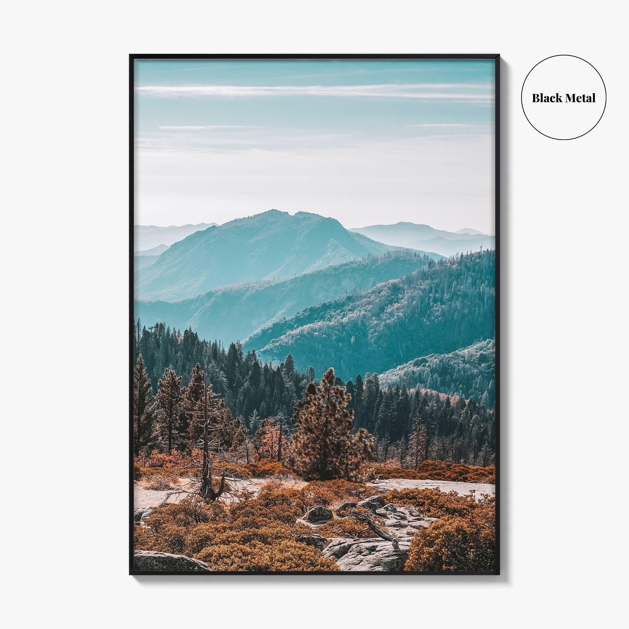 Sequoia National Park Fine Art Photo Print, Redwood Trees, California Poster, USA