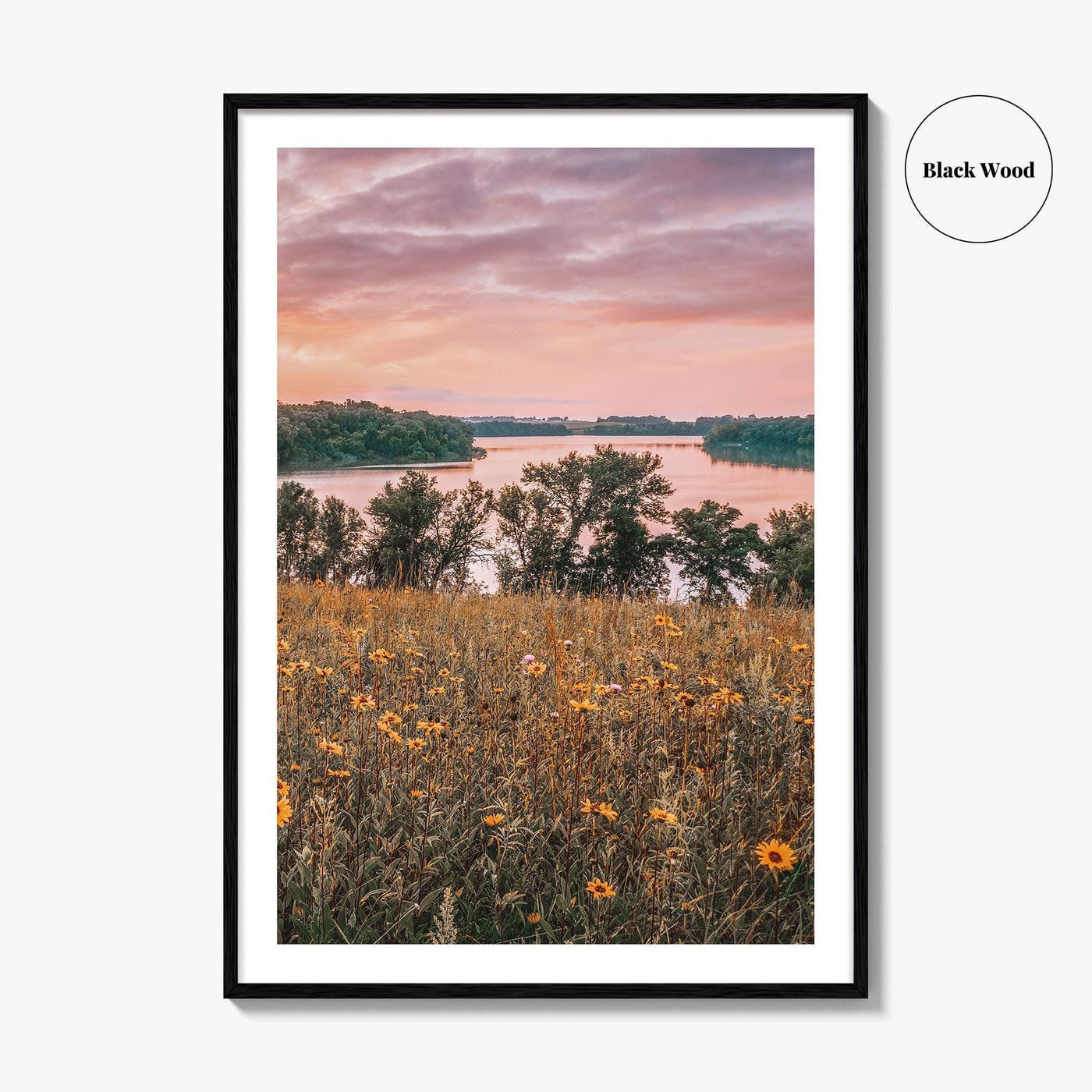 Minnesota Fine Art Photo Print, Summer Flowers Botanical Poster, USA