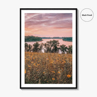 Minnesota Fine Art Photo Print, Summer Flowers Botanical Poster, USA