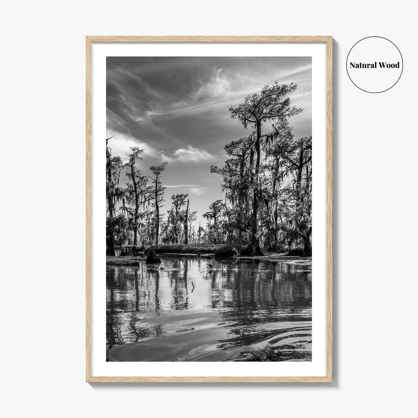 Louisiana Black and White Fine Art Photo Print, New Orleans Swamp, Bayou Poster