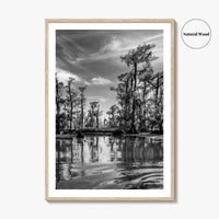 Louisiana Black and White Fine Art Photo Print, New Orleans Swamp, Bayou Poster