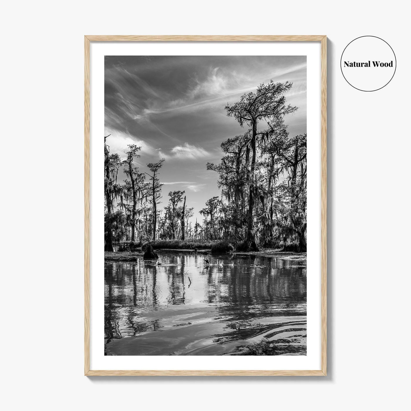 Louisiana Black and White Fine Art Photo Print, New Orleans Swamp, Bayou Poster