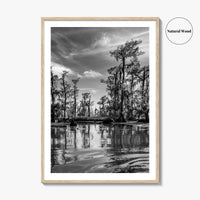 Louisiana Black and White Fine Art Photo Print, New Orleans Swamp, Bayou Poster