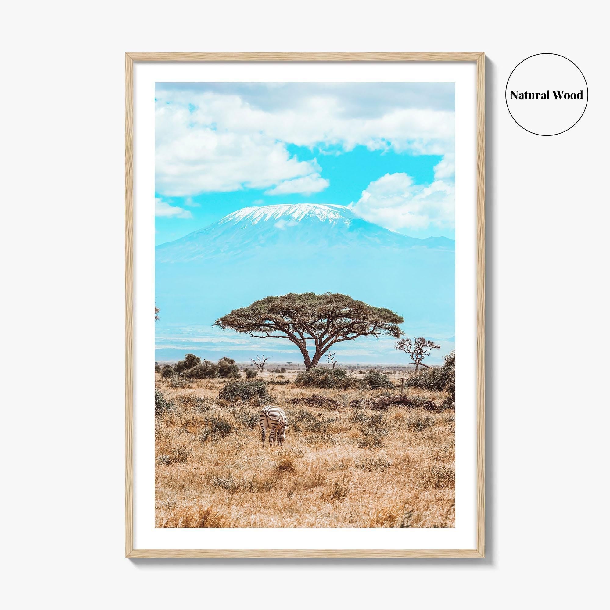 Kenya Fine Art Photo Print, Amboseli National Park, Kilimanjaro, Zebra Wall Poster