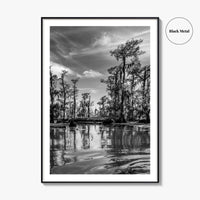 Louisiana Black and White Fine Art Photo Print, New Orleans Swamp, Bayou Poster
