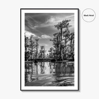 Louisiana Black and White Fine Art Photo Print, New Orleans Swamp, Bayou Poster