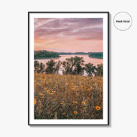 Minnesota Fine Art Photo Print, Summer Flowers Botanical Poster, USA