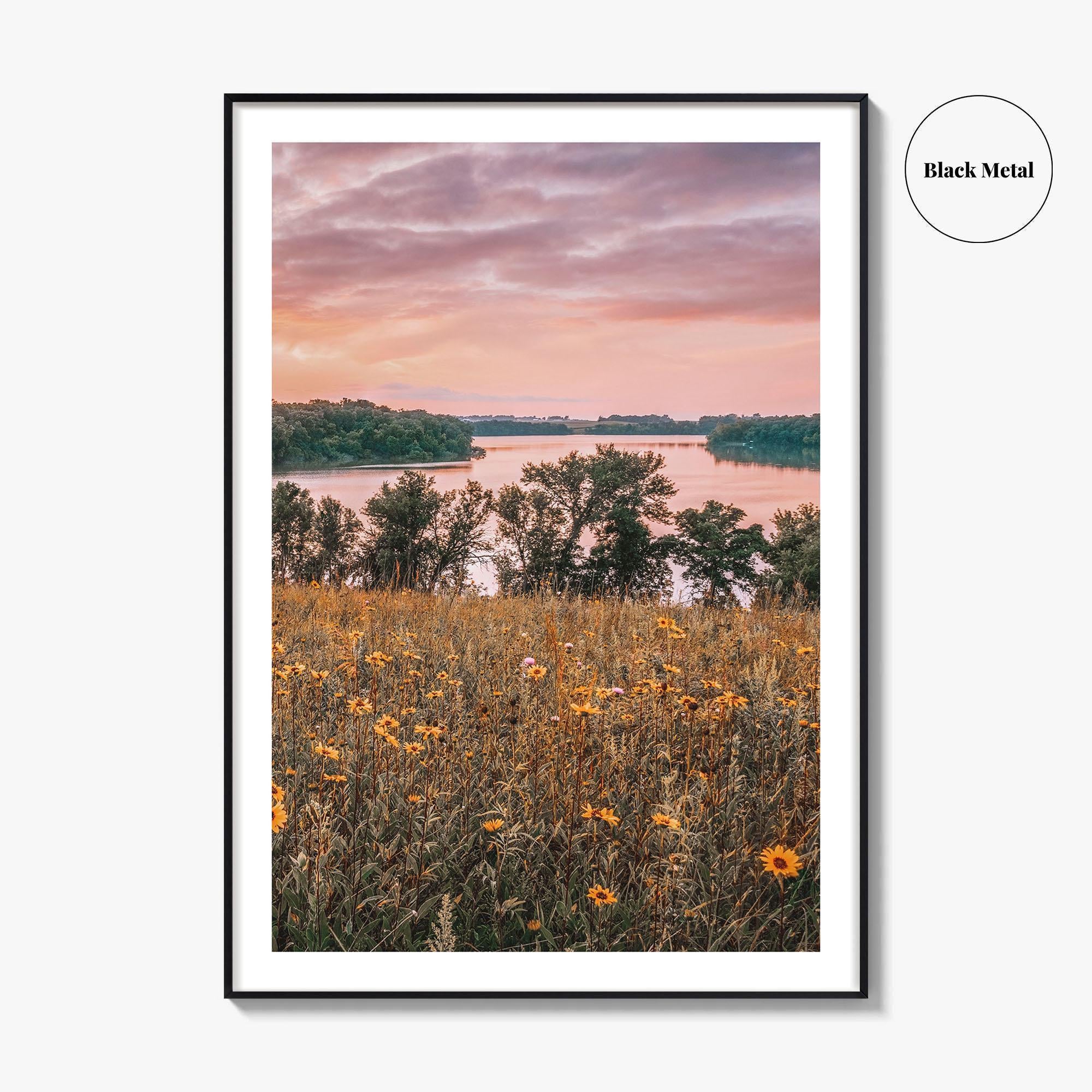 Minnesota Fine Art Photo Print, Summer Flowers Botanical Poster, USA