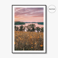 Minnesota Fine Art Photo Print, Summer Flowers Botanical Poster, USA