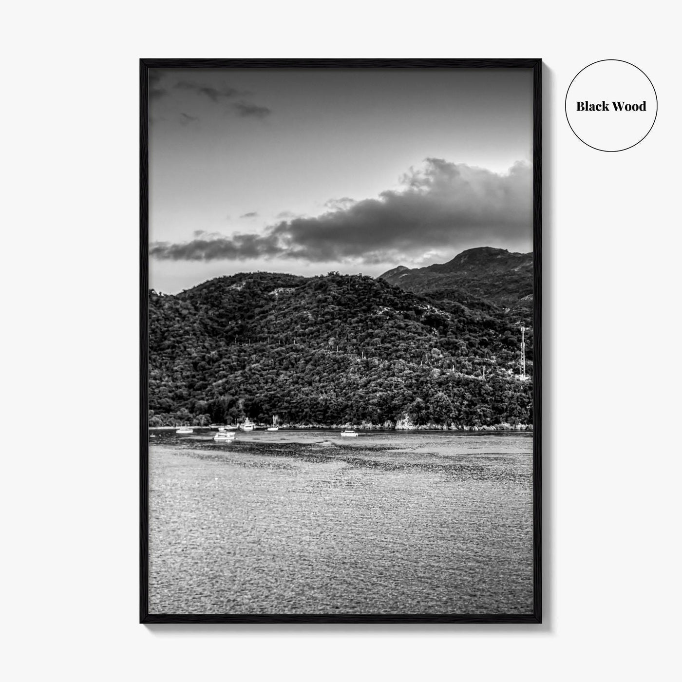 Labadee Black and White Fine Art Photo Print, Haiti Wall Poster, Tropical Port