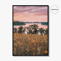 Minnesota Fine Art Photo Print, Summer Flowers Botanical Poster, USA