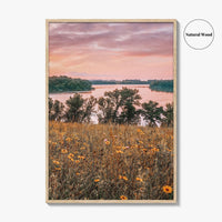 Minnesota Fine Art Photo Print, Summer Flowers Botanical Poster, USA