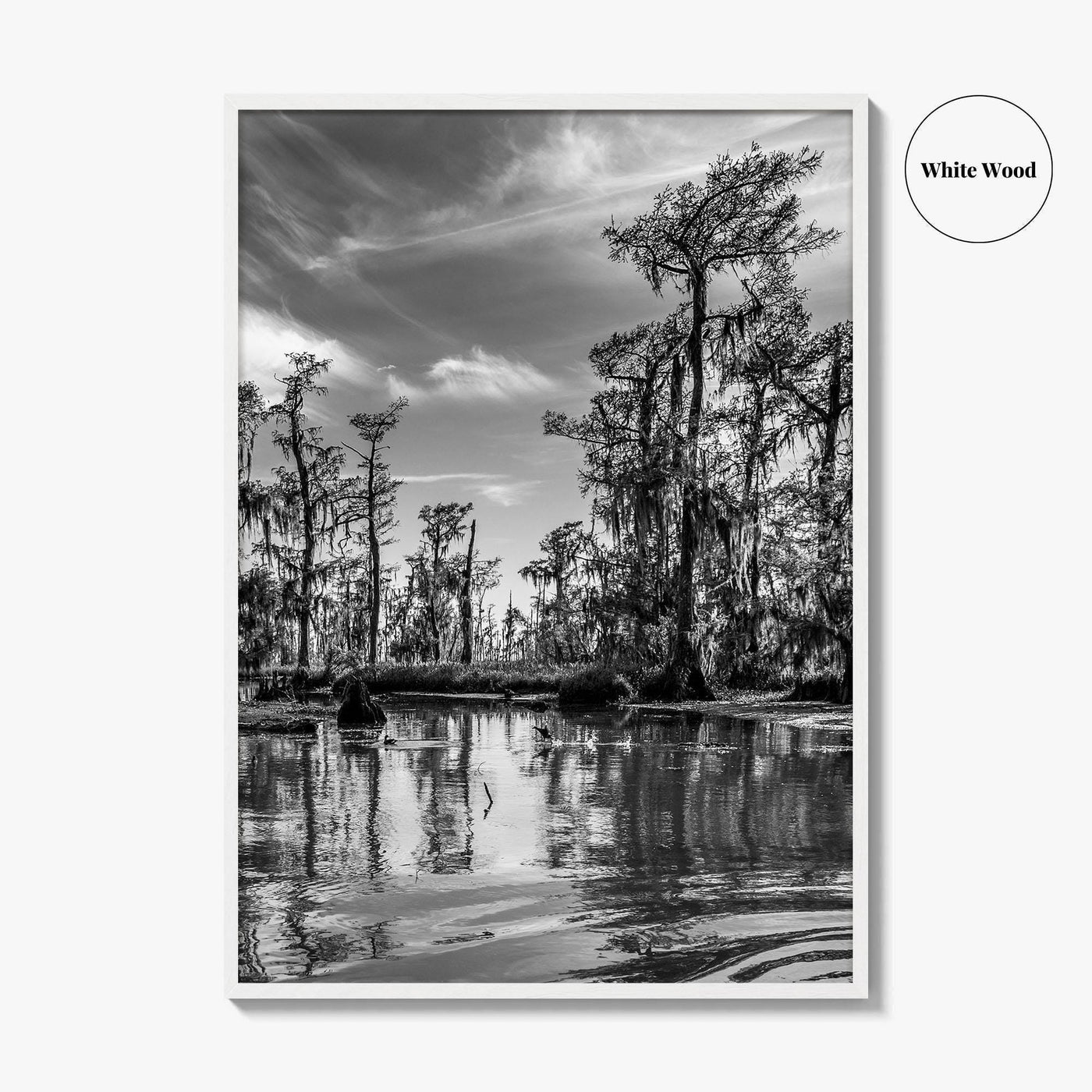 Louisiana Black and White Fine Art Photo Print, New Orleans Swamp, Bayou Poster