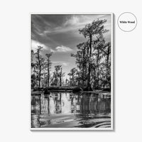 Louisiana Black and White Fine Art Photo Print, New Orleans Swamp, Bayou Poster