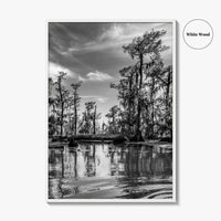 Louisiana Black and White Fine Art Photo Print, New Orleans Swamp, Bayou Poster