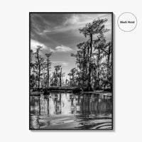 Louisiana Black and White Fine Art Photo Print, New Orleans Swamp, Bayou Poster
