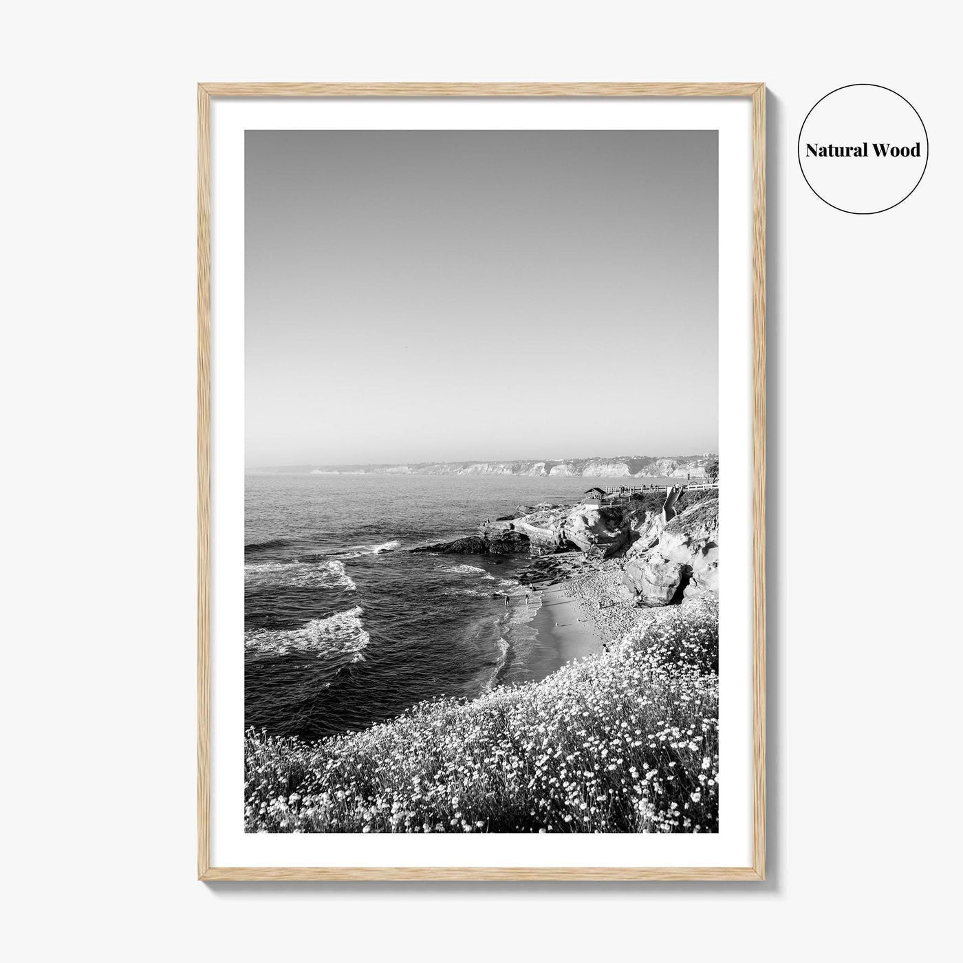 La Jolla Black and White Fine Art Photo Print, San Diego California Poster